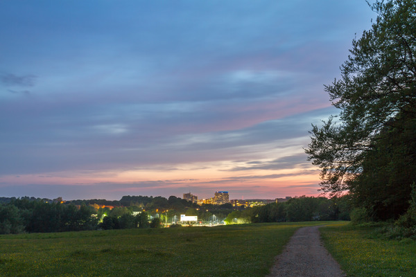 Thumb_img_7078_basingstoke_skyline_dusk_26-5-16_large